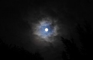 DSCN5713.JPG