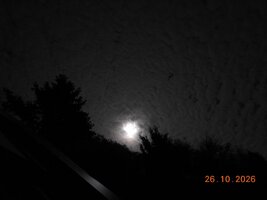 DSCN5717.JPG