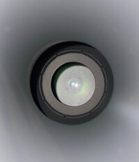IMG_2955.jpg