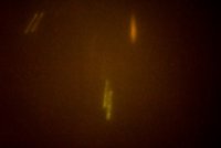 DSC09499_A.jpg