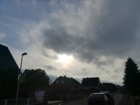 IMG_20191111_134356.jpg