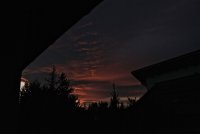 IMG_9709.JPG
