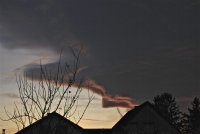 IMG_9706.JPG