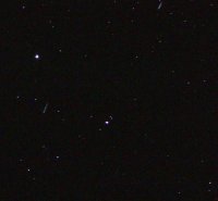 IMG_2781cr.jpg