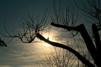 IMG_9725.JPG