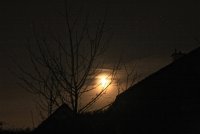 IMG_9731.JPG