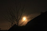 IMG_9730.JPG