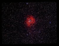 1978_Nov_05_06_IVa_Rosette.jpg
