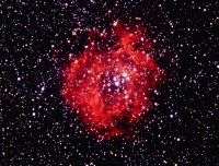 1978_Nov_05_06_IVa_Rosette_.jpg