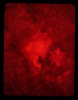 1979_Aug_22_23_IIIc_NGC7000.jpg