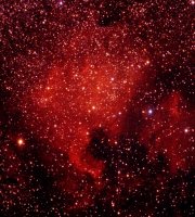 1978_Nov_05_06_Ib_NGC7000_d.jpg