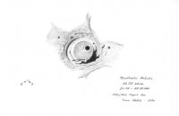Mondkrater Herkules 26.05.2012.jpg