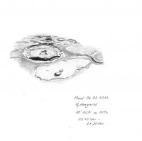 Mondkrater Pythagoras.jpg