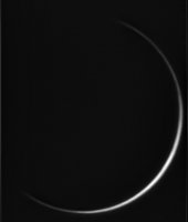 Venus_Avi145_29052012-manu.jpg