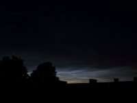 nlc_01.jpg