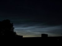 nlc_02.jpg