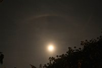 IMG_9842.JPG