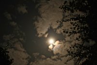 IMG_9882.JPG