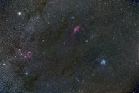76E9D2DC-ECBF-438F-91E4-CE66A5C83E07.jpeg