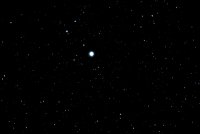 IMG_9993.JPG