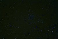 IMG_9992.JPG