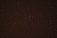 IMG_9989.JPG