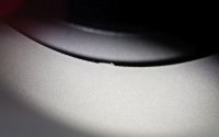 IMG_4656_crop.jpg