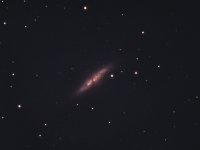 M82 Stacked 100% Crop.jpg