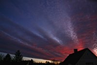 IMG_0537.JPG