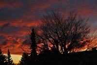 IMG_0508.JPG