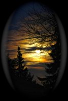 IMG_0587.jpg