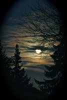 IMG_0588.jpg