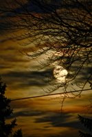 IMG_0592.jpg