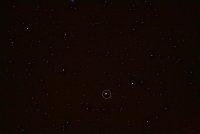 IMG_0690.jpg