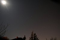 IMG_1005.JPG