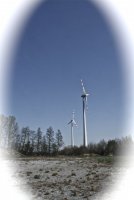 IMG_1079.jpg