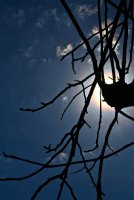 IMG_1209.jpg