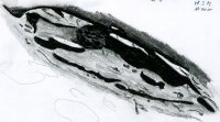1209281700Bailly.jpg
