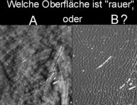 wer-rauer.jpg