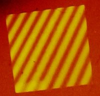 6mm.jpg