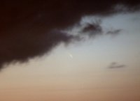 IMG_0764_part-001.JPG