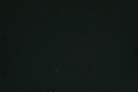 IMG_1475.JPG