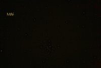 IMG_1516.JPG