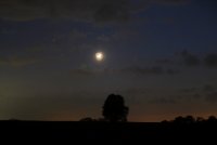 IMG_2579.jpg
