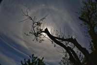 IMG_2020.JPG