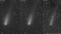 2019Y420200510RGB.jpg