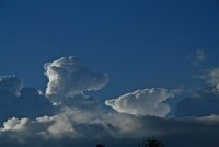 IMG_2127.JPG