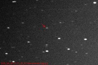 2020_05_20 UT 21_24_51 Harmonia 40_10_bearbeitet-1.jpg