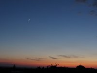 IMG_3107.JPG