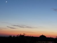 IMG_3116.JPG